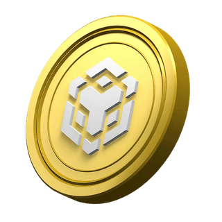 BNB coin shown decoratively in the platform information section